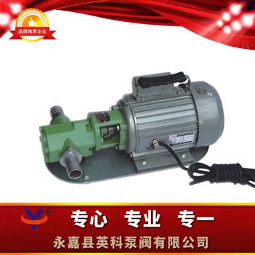 WCB手提式不鏽（xiù）鋼（gāng）齒（chǐ）輪油泵